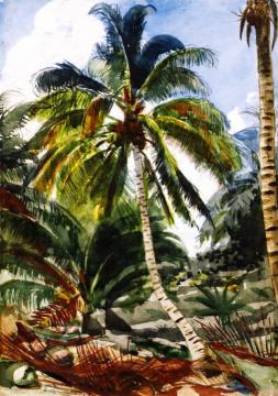 Palm Trees, Bahamas Artwork by Winslow Homer