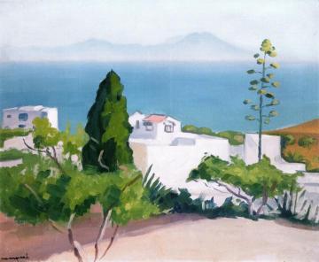Landscape Of Sidi Bou Said Artwork by Albert Marquet
