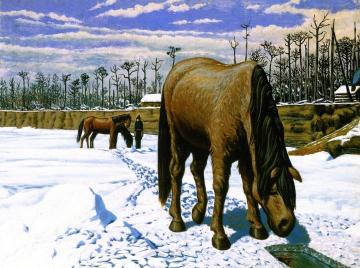 Horse Drinking At An Ice Hole Artwork by William George Richardson Hind