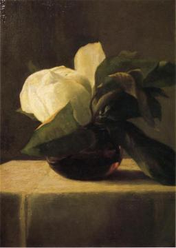 Magnolia Artwork by John La Farge