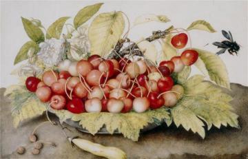Nature Morte Aux Cerises Artwork by Giovanna Garzonni
