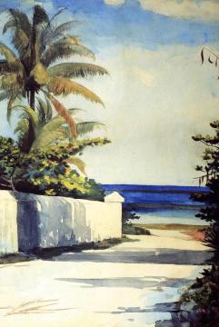 Road In Nassau Artwork by Winslow Homer