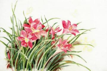 Pink Lilies and Butterflies Artwork by Charles Demuth