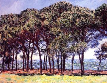 Pine Trees, Cap d'Antibes Artwork by Claude Oscar Monet