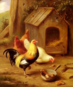 Chickens Feeding Artwork by Edgar Hunt