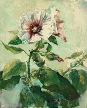 Study Of Pink Hollyhock In Sunlight, From Nature Artwork by John La Farge