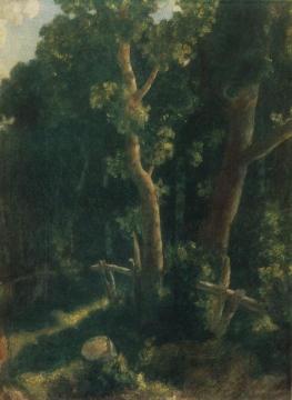 In the Forest Artwork by Nikolai Krymov