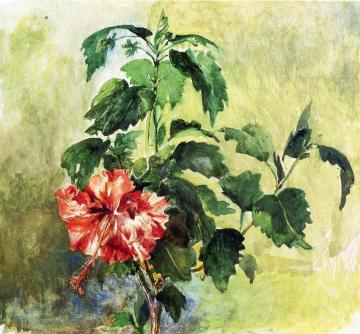 The Hibiscus, Tahiti, Society Islands, 1891 Artwork by John La Farge