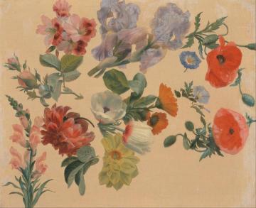 Studies of Summer Flowers Artwork by Jacques-Laurent Agasse