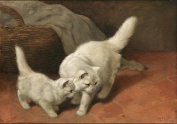 Cats and Ladybugs Artwork by Arthur Heyer