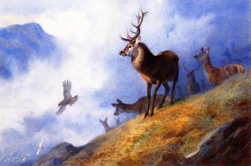 Red Deer Watching a Golden Eagle Hunt Ptarmigan Artwork by Archibald Thorburn