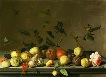 A Still Life of Fruit and Shells with a Rose and Various Insects upon a Stone Ledge Artwork by Balthasar van der Ast