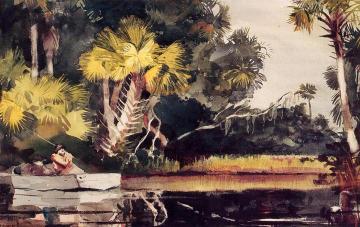 Homasassa Jungle Artwork by Winslow Homer