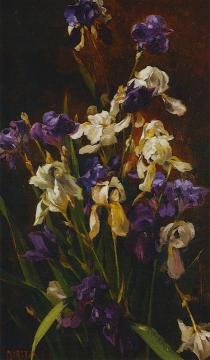 Irises Artwork by Mathias J. Alten