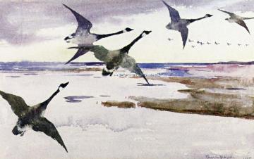 Canadian Geese Artwork by Frank Weston Benson