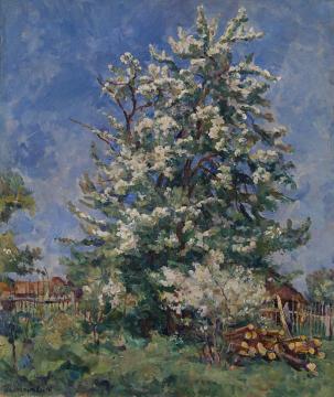 Pear Tree in Blossom Artwork by Pyotr Konchalovsky