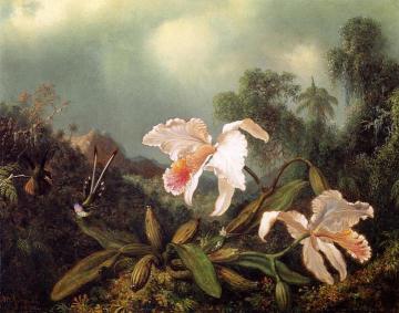 Jungle Orchids and Hummingbirds Artwork by Martin Johnson Heade