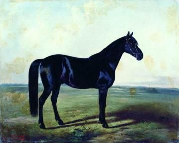 The Black Horse Artwork by Nikolai Sverchkov
