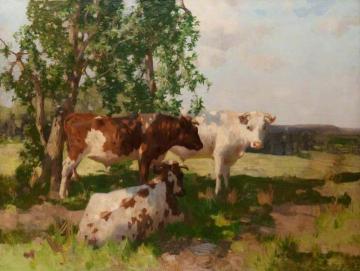 Sunshine And Shadow Artwork by David Gauld