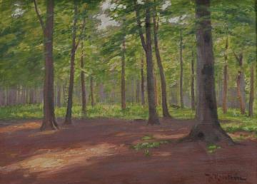 Pine Trees Artwork by Johan Krouthén