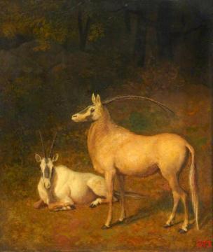 Two White Antelopes Artwork by Jacques-Laurent Agasse
