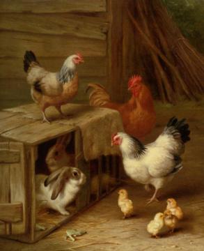 Cockerel, Hens, Chicks and Rabbit Artwork by Edgar Hunt