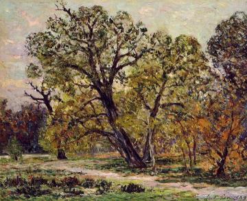 Autumn, Fontainebleau Forest Artwork by Maxime Maufra