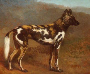 Cape Hunting Dog Artwork by Jacques-Laurent Agasse