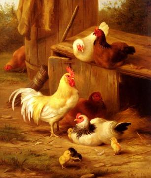 Chickens And Chicks Artwork by Edgar Hunt