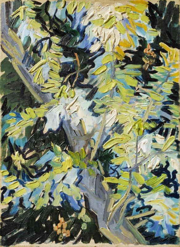 Blossoming Acacia Branches Artwork by Vincent Van Gogh