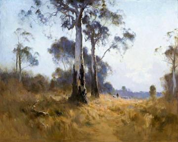 Ghost Gum At Kangaroo Flat Artwork by Penleigh Boyd