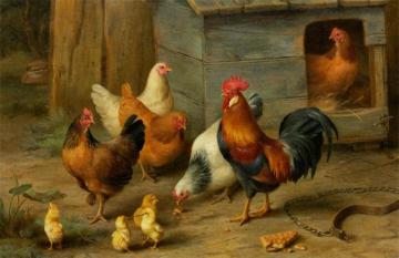 A Cockerel With Chickens Artwork by Edgar Hunt