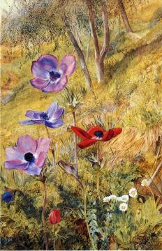 Anemones Artwork by Henry Roderick Newman