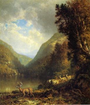 Deer in the Adirondacks Artwork by William M. Hart