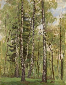 Birch Trees in Spring Artwork by Pyotr Konchalovsky