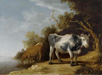 Cattle Standing on a Riverbank Artwork by Paulus Potter