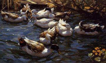 Ducks in the Reeds under the Boughs Artwork by Alexander Koester