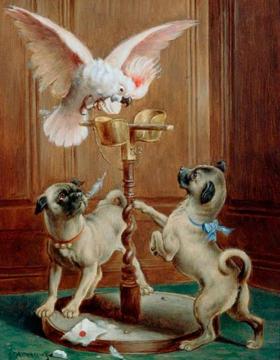 The Disturbed Cockatoo Artwork by Carl Reichert