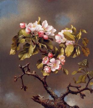 Branch of Apple Blossoms against a Cloudy Sky Artwork by Martin Johnson Heade