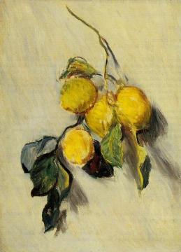 Branch of Lemons Artwork by Claude Oscar Monet