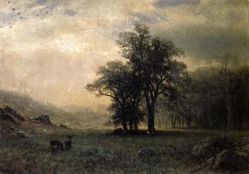 Deer in a Landscape Artwork by Albert Bierstadt