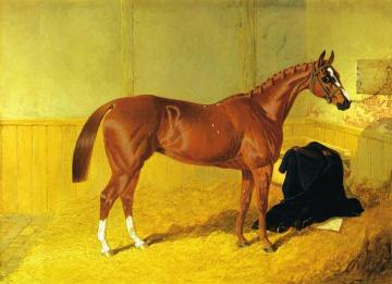 Our Nell, A Bay Racehorse in a Stable Artwork by John Frederick Herring, Sr
