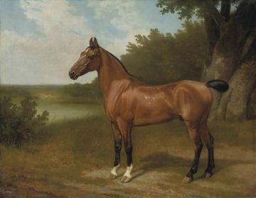Hunter Of Lord Bingley In A Wooded River Landscape Artwork by Jacques-Laurent Agasse