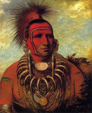Little Wolf, A Famos Warrior Artwork by George Catlin