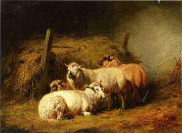 Sheep in Shed Artwork by Arthur Fitzwilliam Tait
