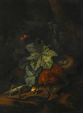 A Forest Floor Still Life with a Snake, a Snail, a Grasshopper, a Worm, a Lizard, etc. Artwork by Elias van den Broeck
