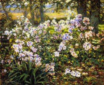 Wildflowers Artwork by Gaines Ruger Donoho