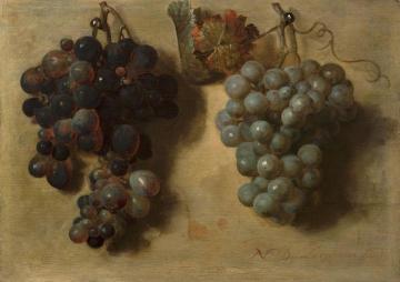 Grapes Artwork by Nicolas de Largillierre