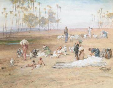 Sheep shearing, Egypt Artwork by Frederick Goodall