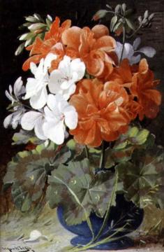 Pelargoniums Artwork by William Jabez Muckley